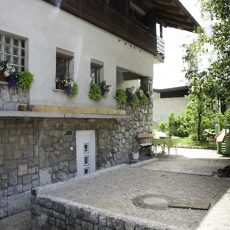 Cebelja Zibka * Ljubljana