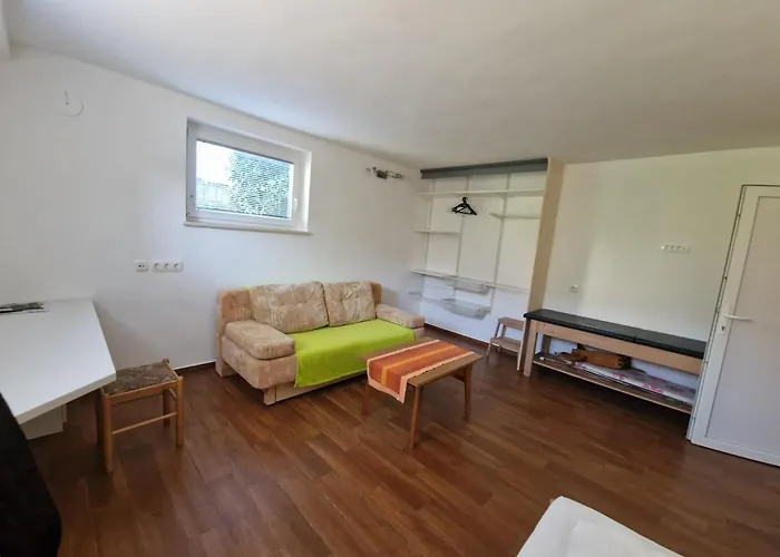 Cebelja Zibka * Ljubljana