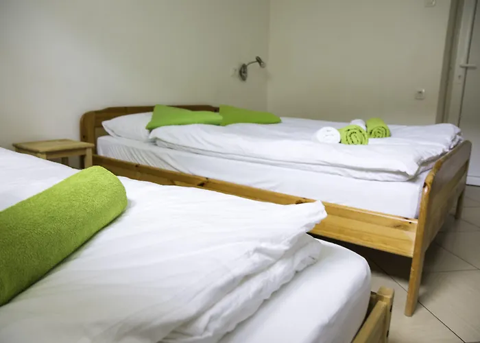 Cebelja Zibka * Ljubljana