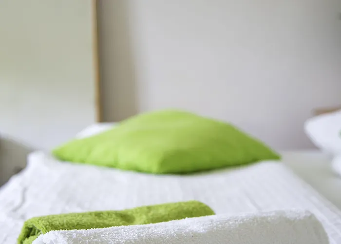 Cebelja Zibka Laibach