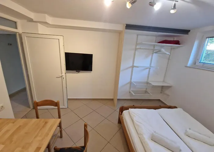 Cebelja Zibka Ljubljana